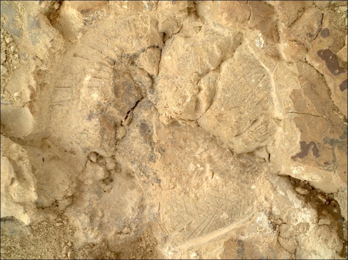 Foto de Marte da câmera SHERLOC_WATSON