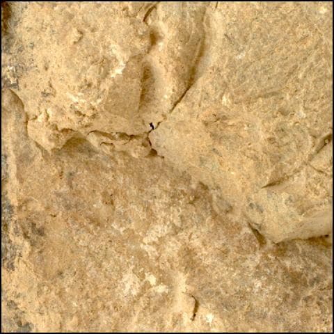 Foto de Marte da câmera SHERLOC_WATSON