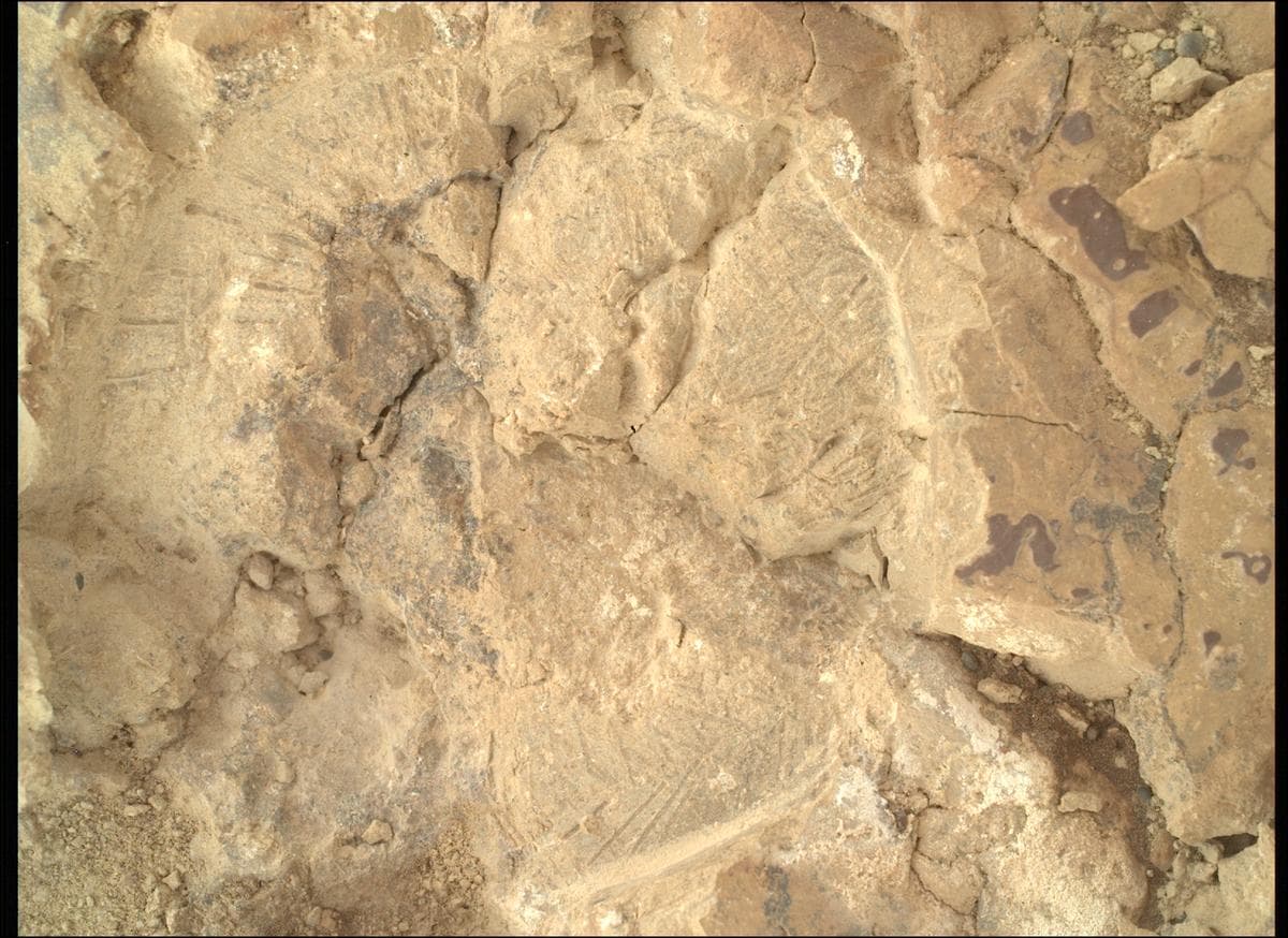 Foto de Marte da câmera SHERLOC_WATSON