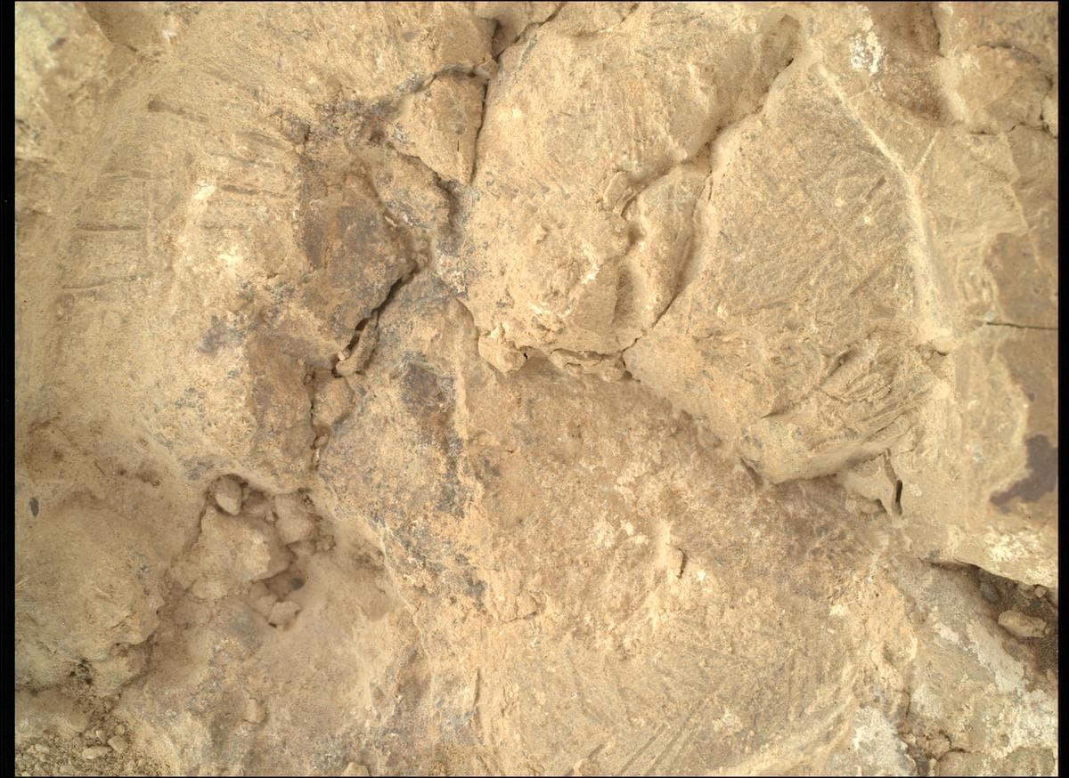 Foto de Marte da câmera SHERLOC_WATSON