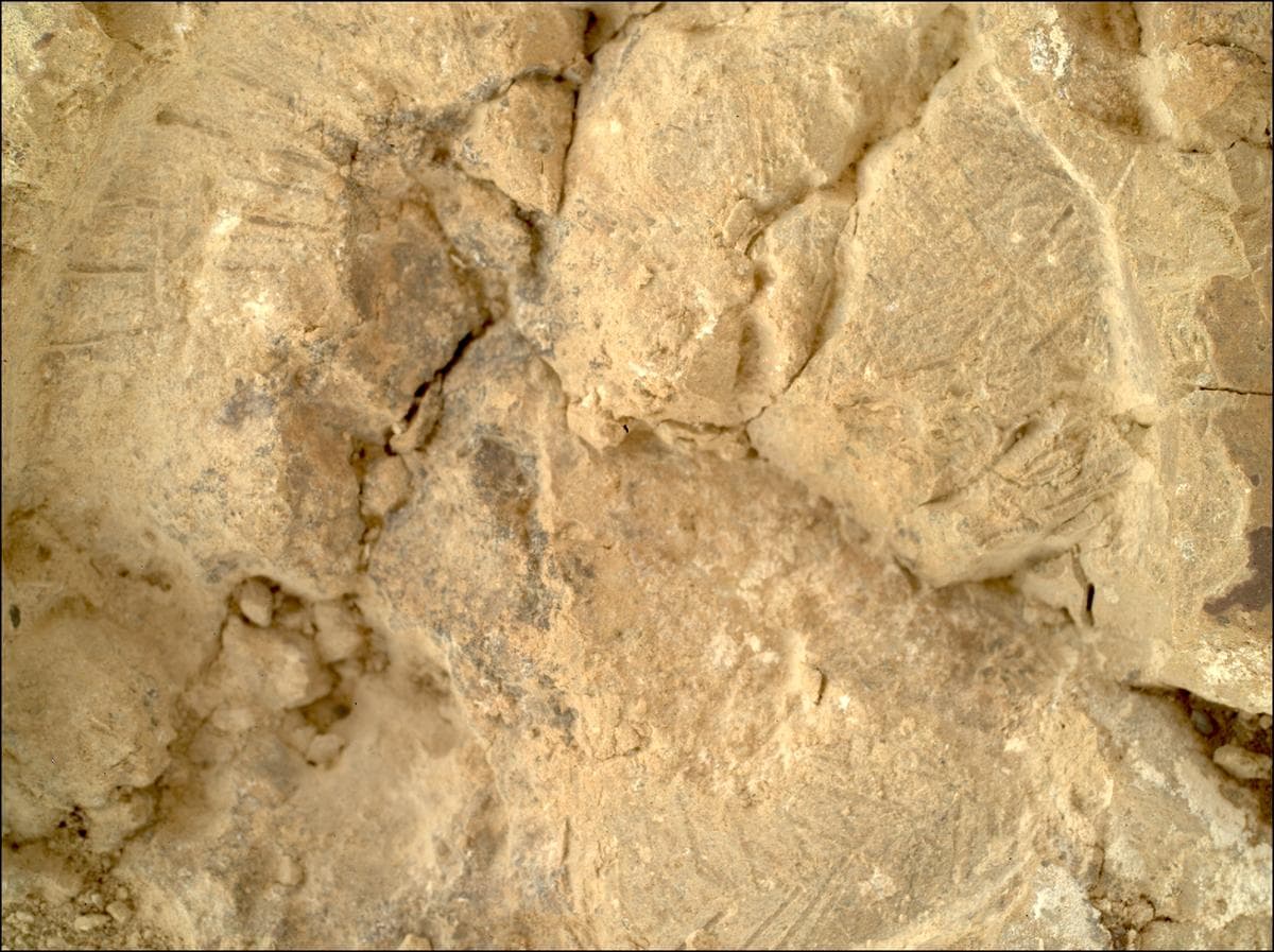 Foto de Marte da câmera SHERLOC_WATSON