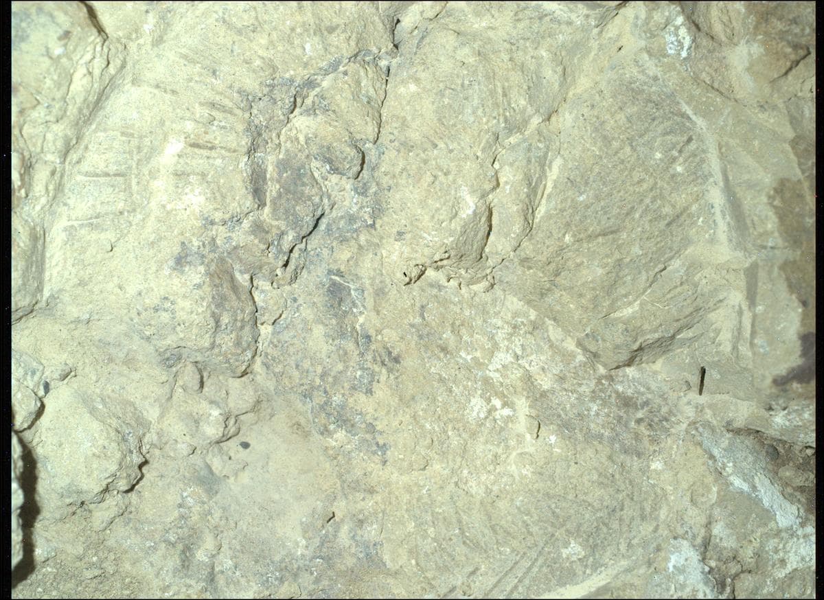 Foto de Marte da câmera SHERLOC_WATSON