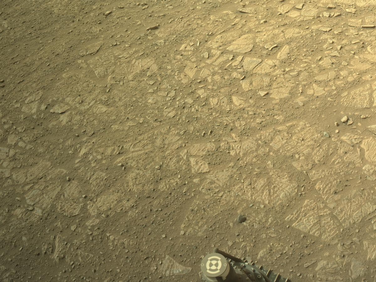 Foto do rover em Marte de 2026-02-06