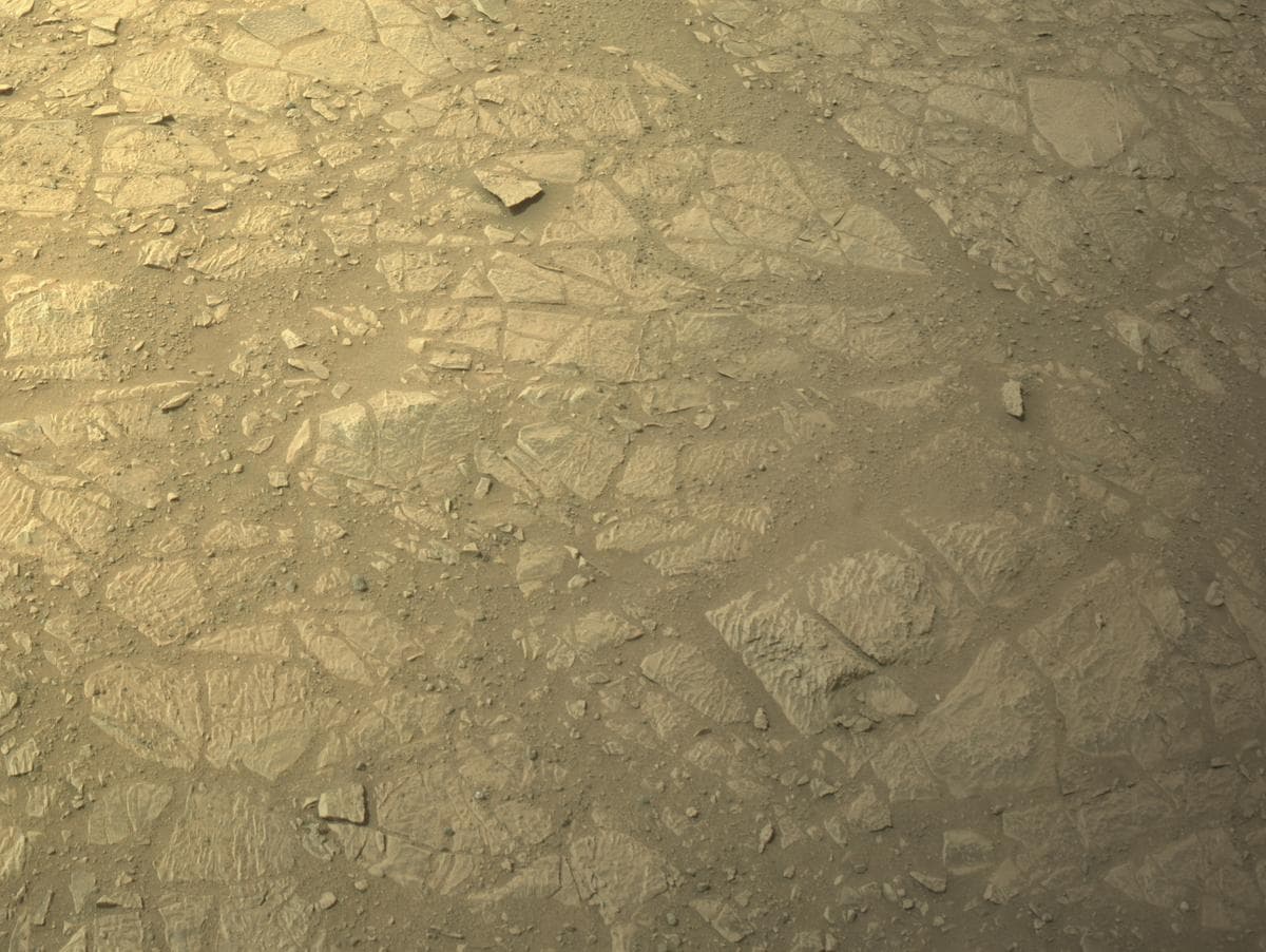 Foto do rover em Marte de 2026-02-06