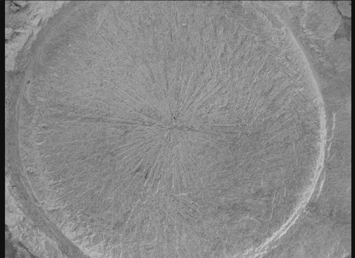 Foto de Marte da câmera SHERLOC_WATSON