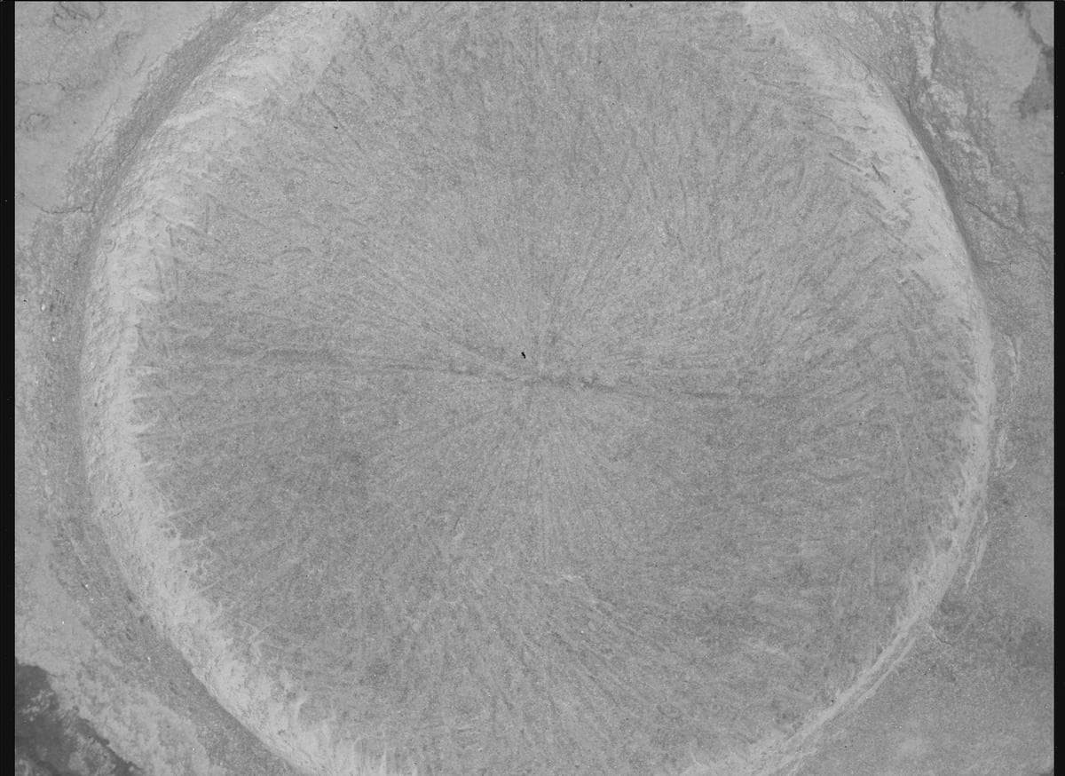 Foto de Marte da câmera SHERLOC_WATSON