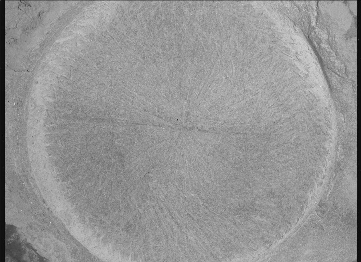 Foto de Marte da câmera SHERLOC_WATSON