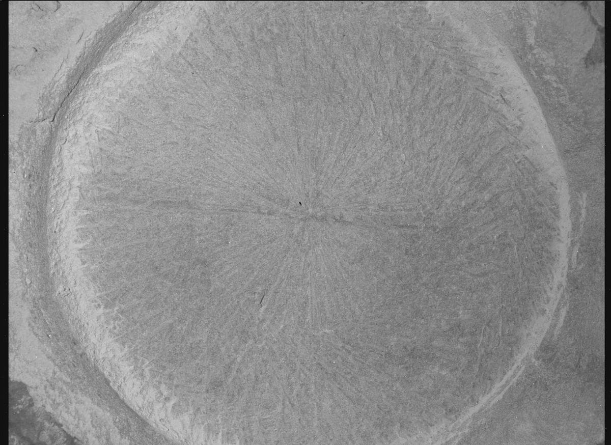 Foto de Marte da câmera SHERLOC_WATSON