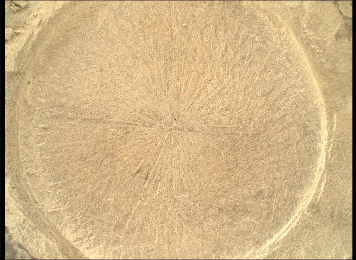 Foto de Marte da câmera SHERLOC_WATSON