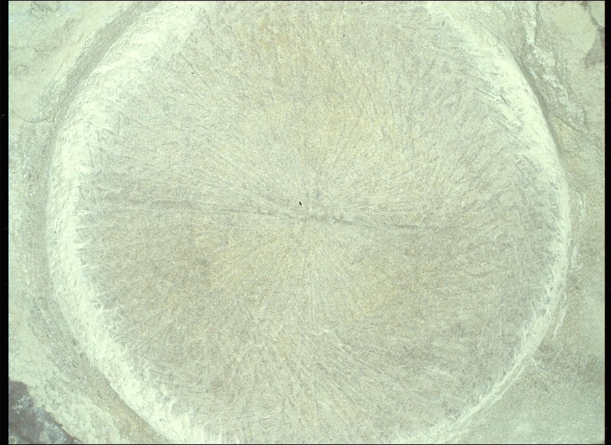 Foto de Marte da câmera SHERLOC_WATSON