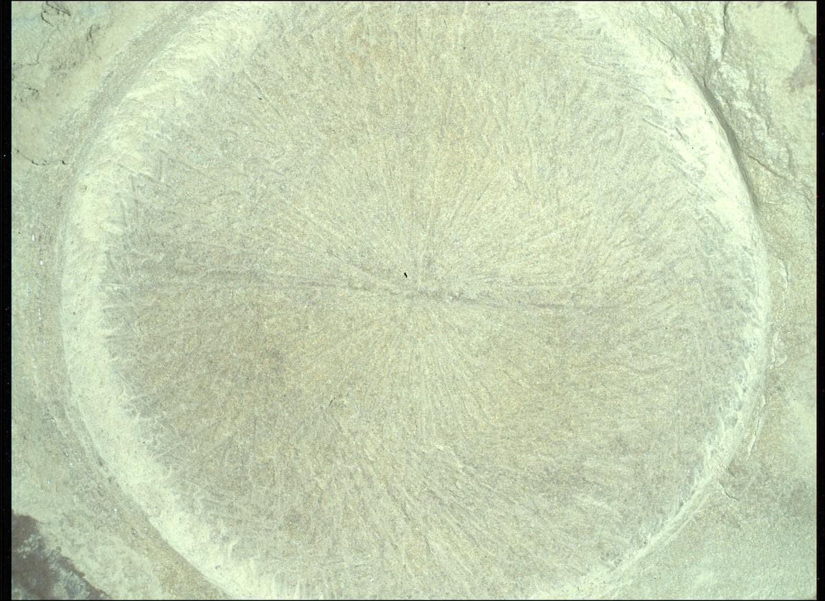 Foto de Marte da câmera SHERLOC_WATSON