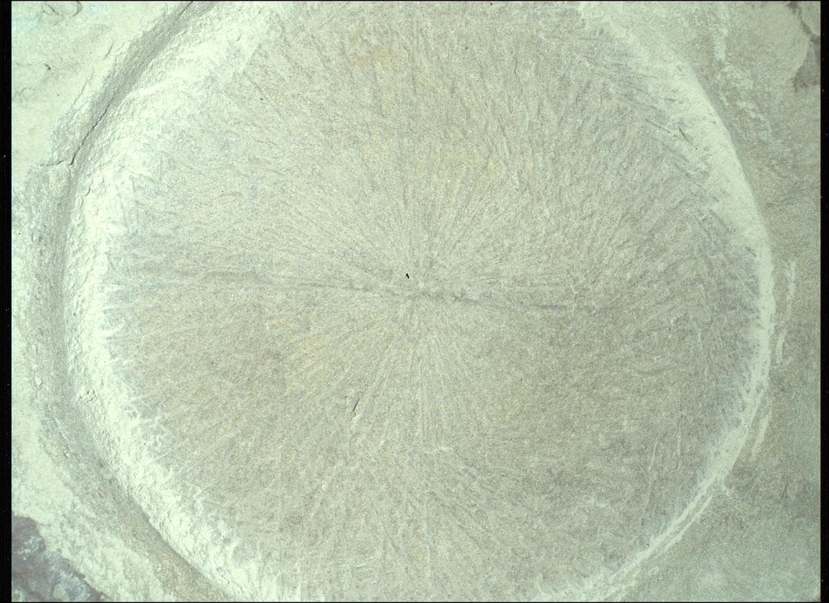 Foto de Marte da câmera SHERLOC_WATSON