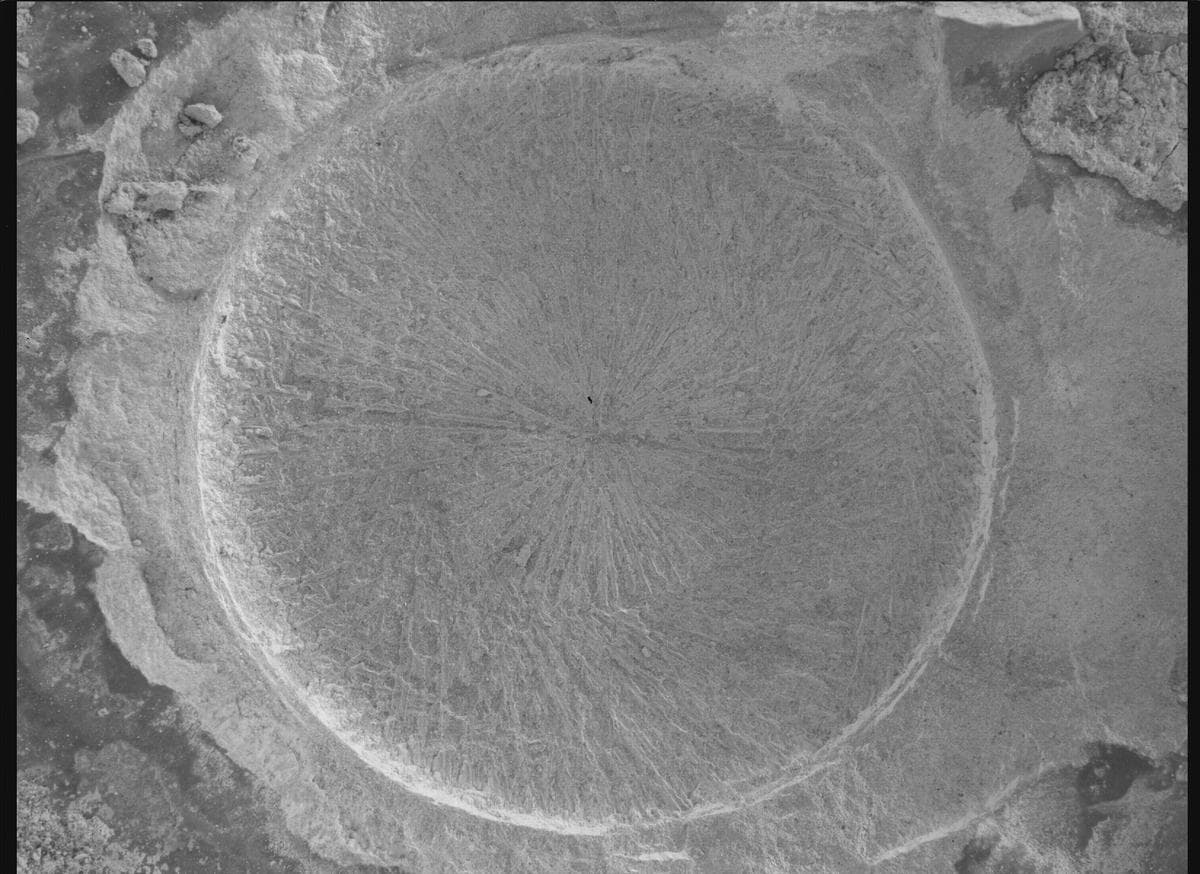 Foto do rover em Marte de 2026-02-11