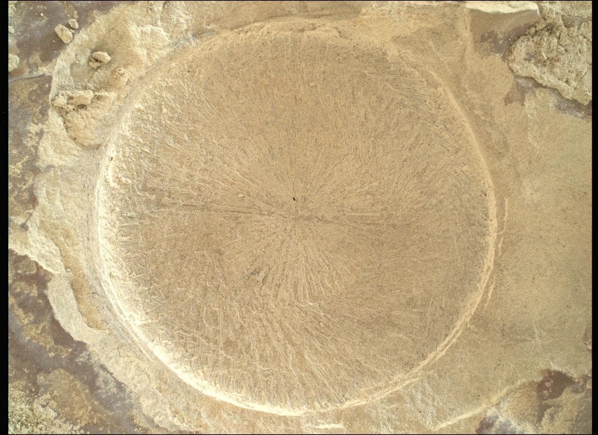 Foto do rover em Marte de 2026-02-11