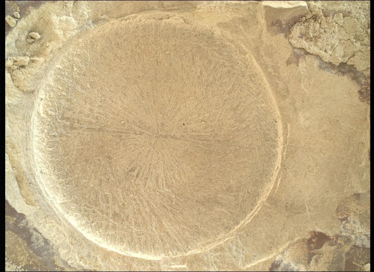 Foto do rover em Marte de 2026-02-11