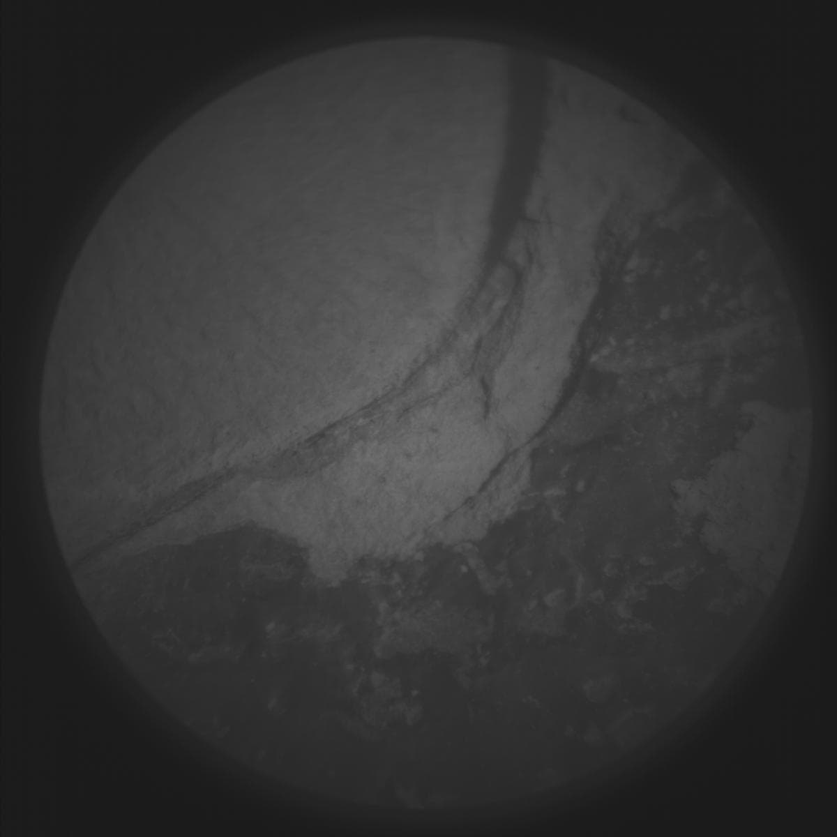 Foto de Marte da câmera SUPERCAM_RMI