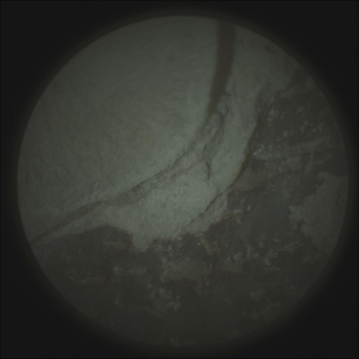 Foto de Marte da câmera SUPERCAM_RMI