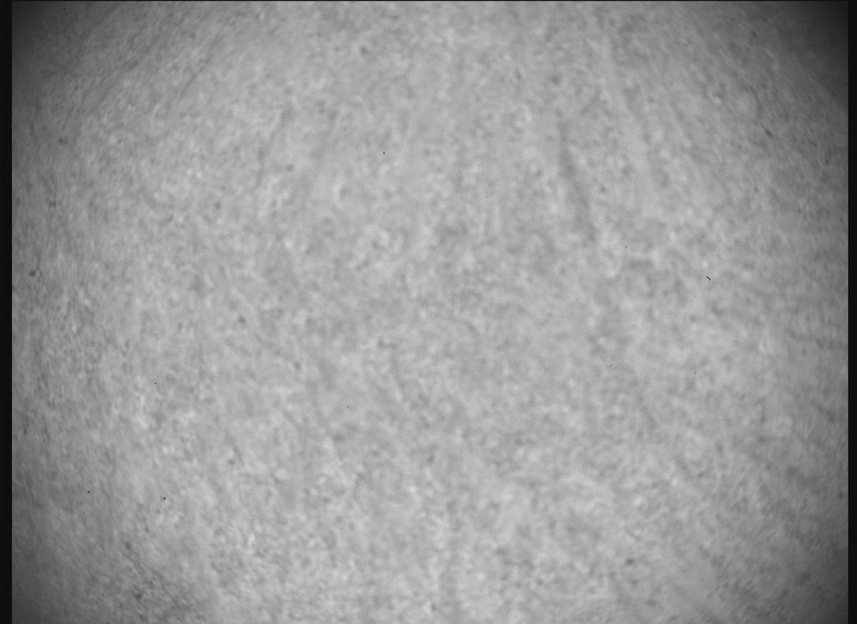 Foto de Marte da câmera SHERLOC_ACI