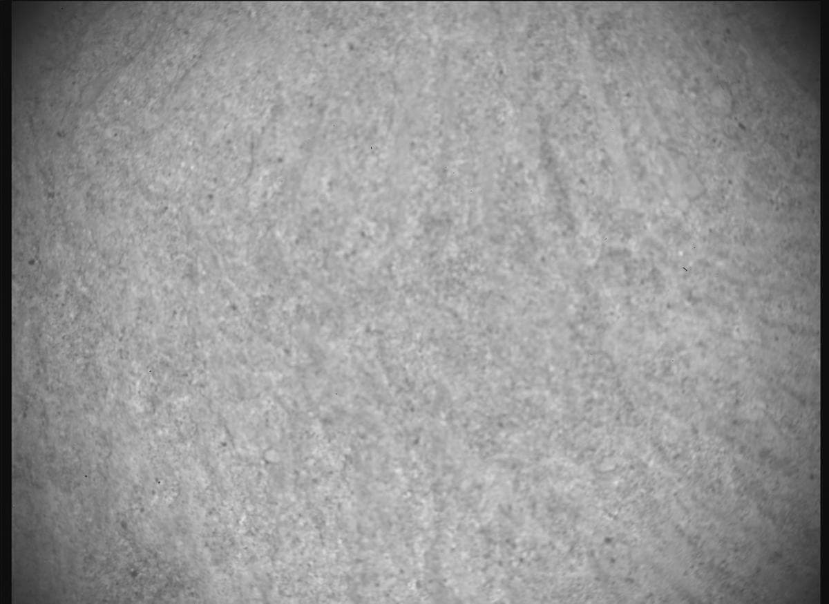 Foto de Marte da câmera SHERLOC_ACI