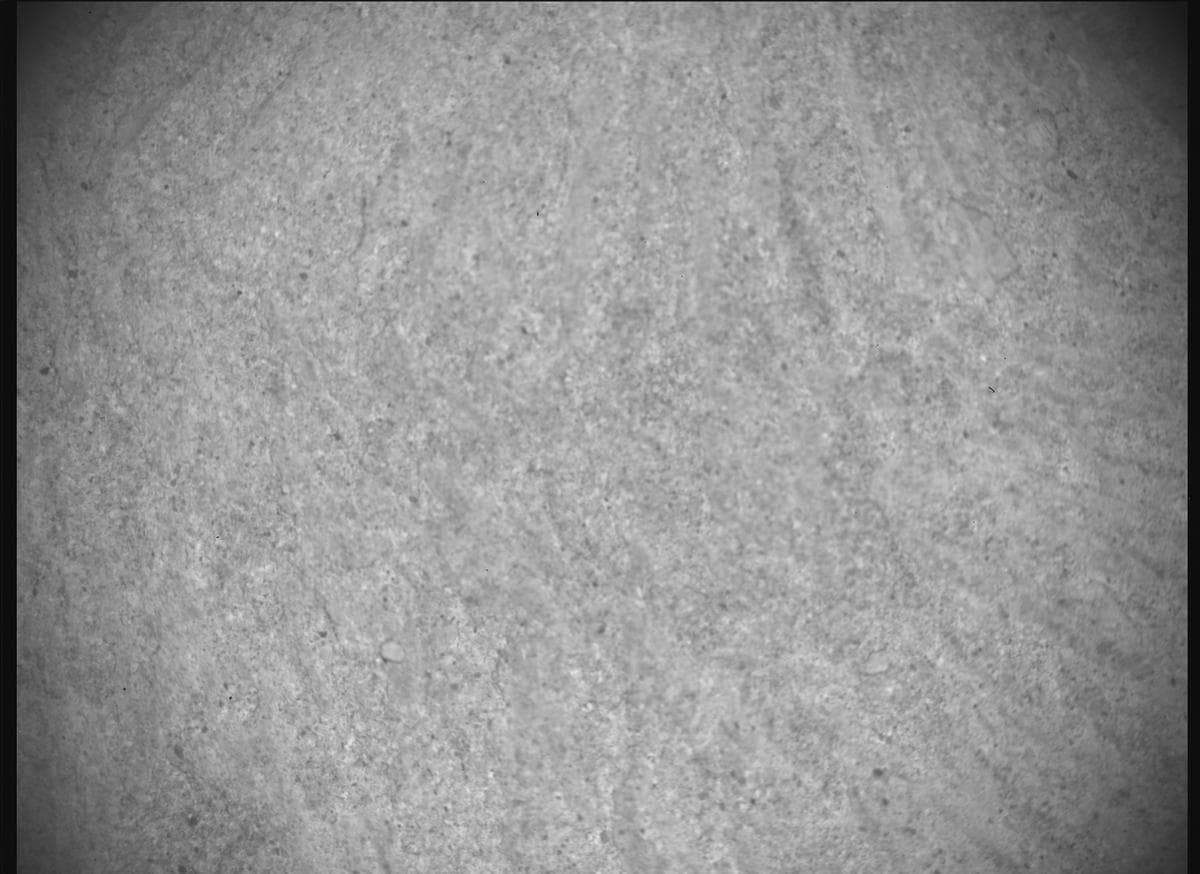 Foto de Marte da câmera SHERLOC_ACI