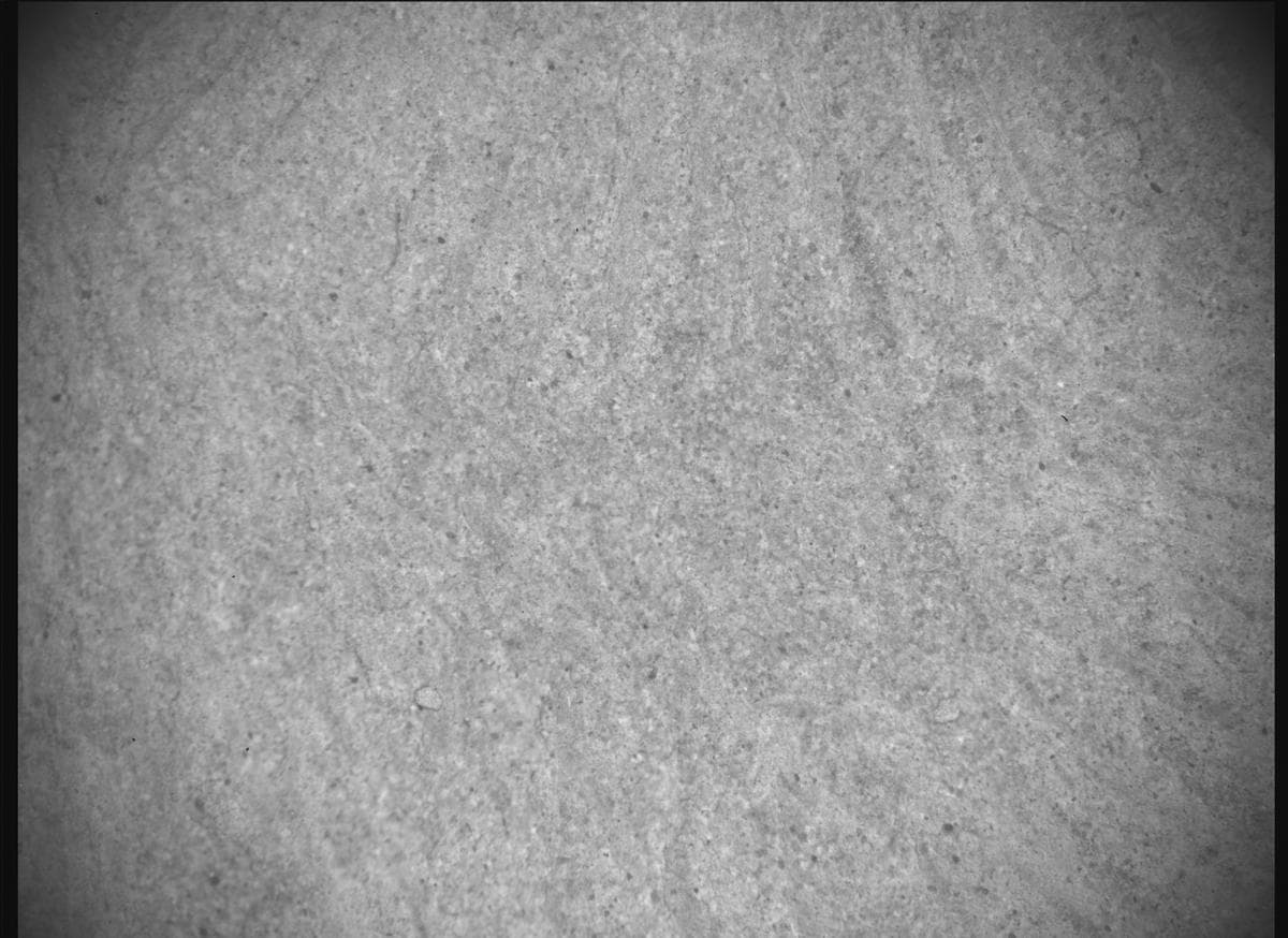 Foto de Marte da câmera SHERLOC_ACI