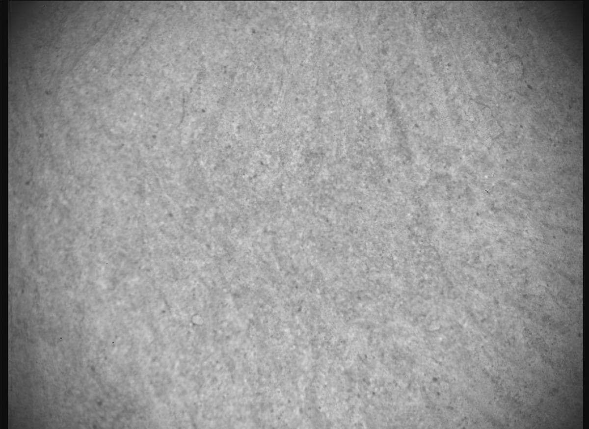 Foto de Marte da câmera SHERLOC_ACI