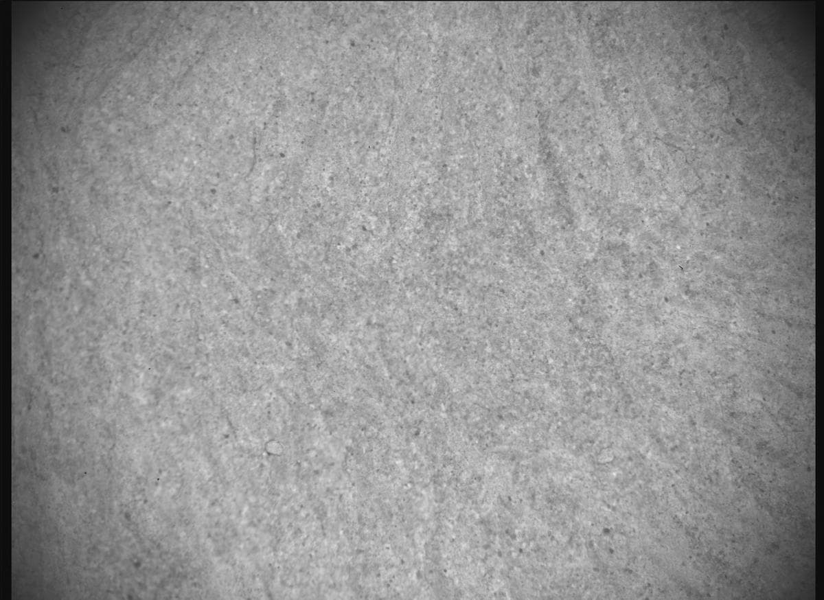 Foto de Marte da câmera SHERLOC_ACI