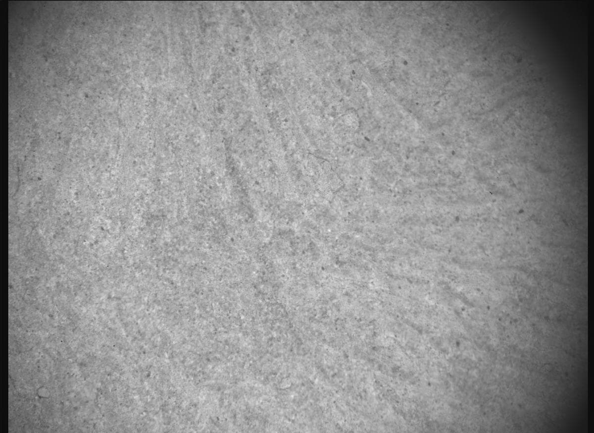 Foto de Marte da câmera SHERLOC_ACI