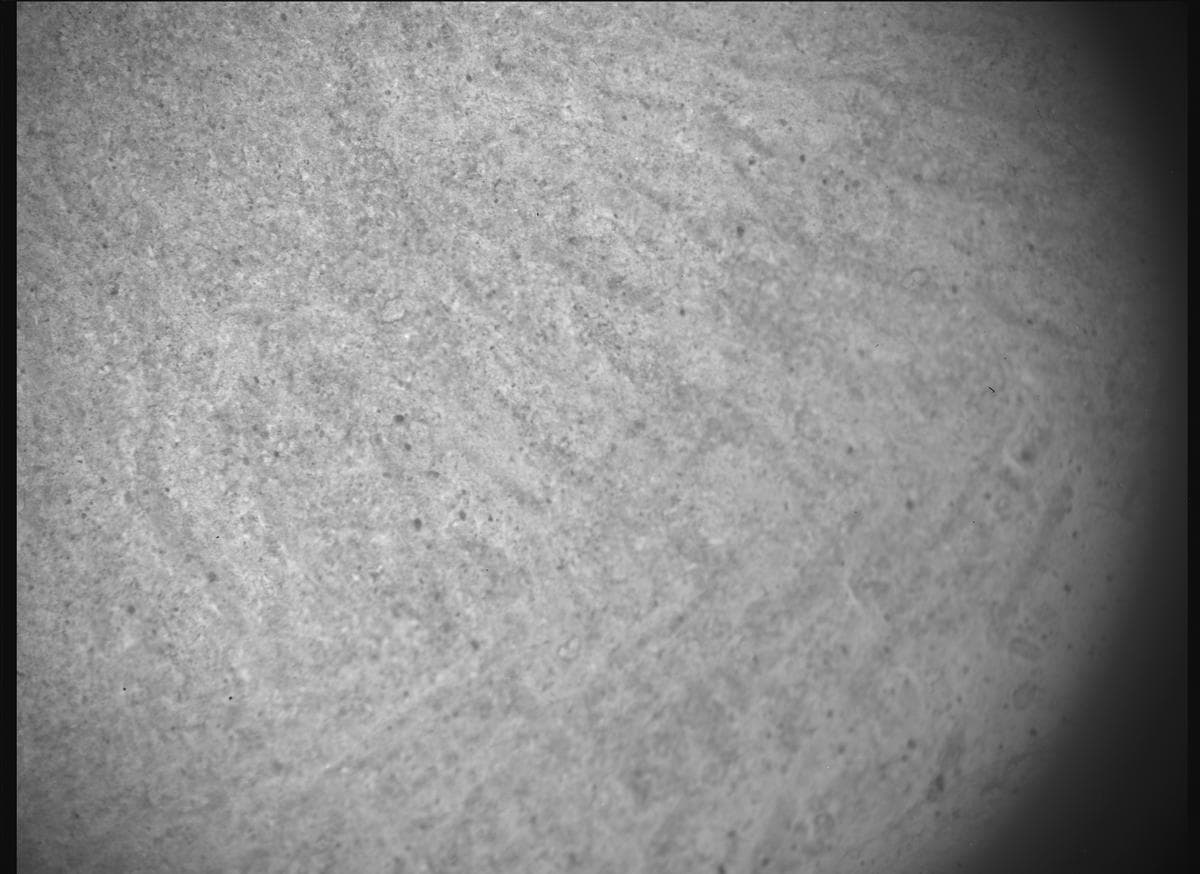 Foto de Marte da câmera SHERLOC_ACI