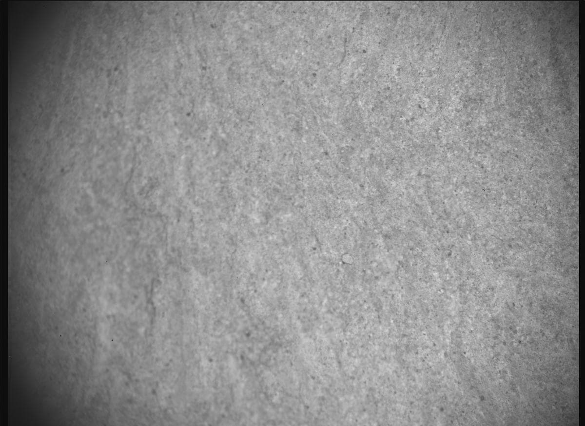 Foto de Marte da câmera SHERLOC_ACI