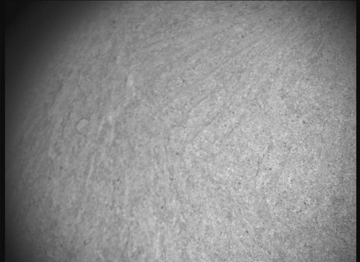 Foto de Marte da câmera SHERLOC_ACI