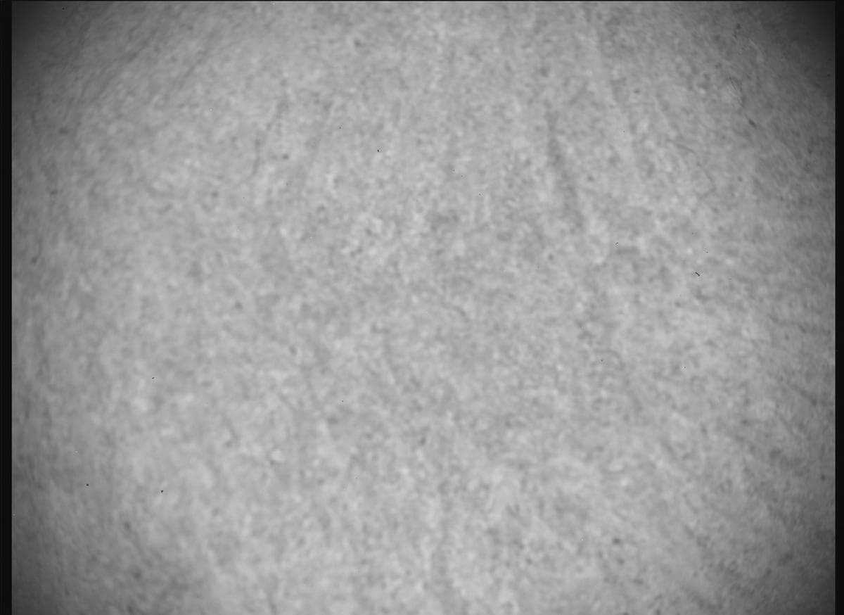 Foto de Marte da câmera SHERLOC_ACI