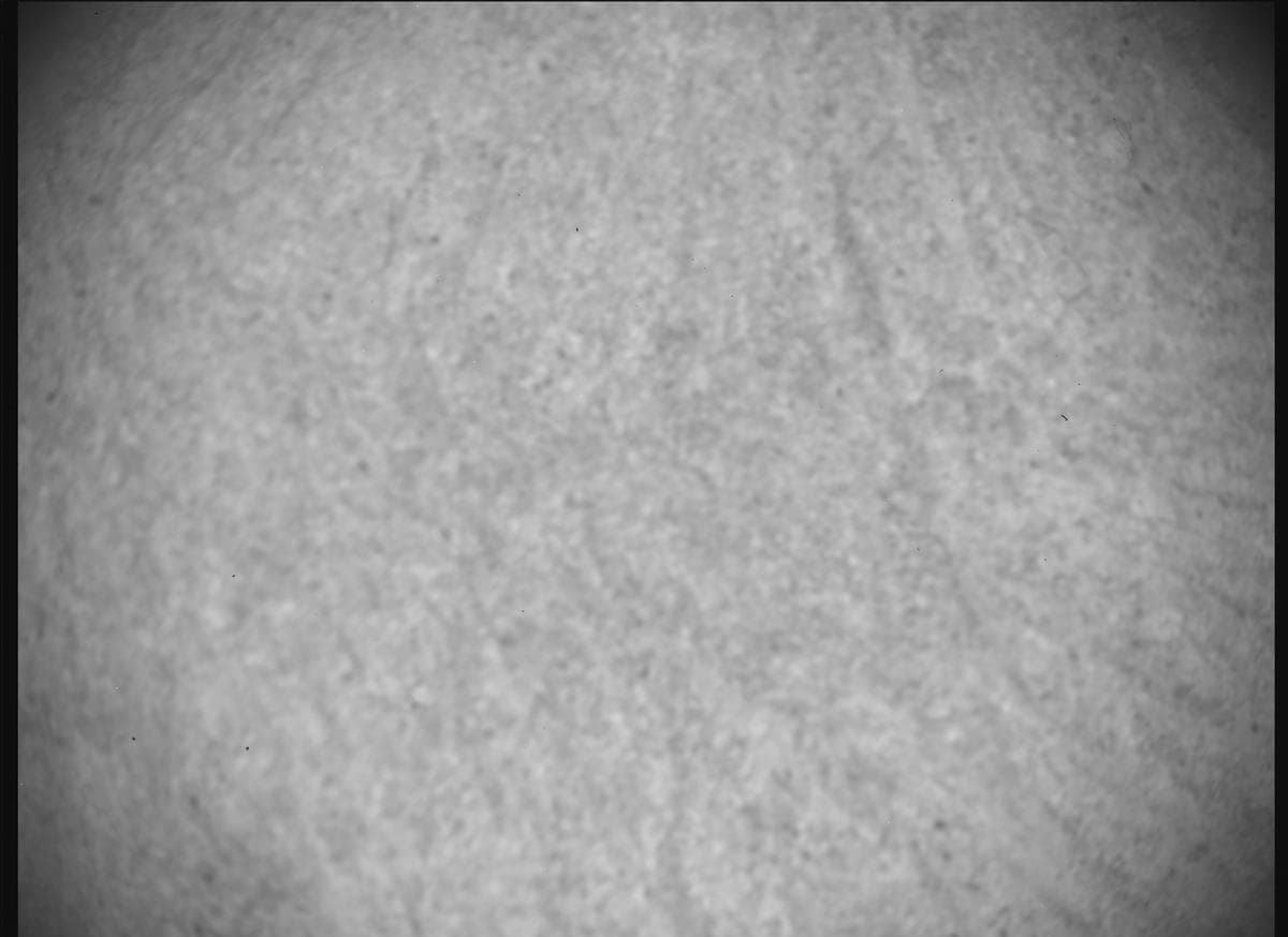 Foto de Marte da câmera SHERLOC_ACI