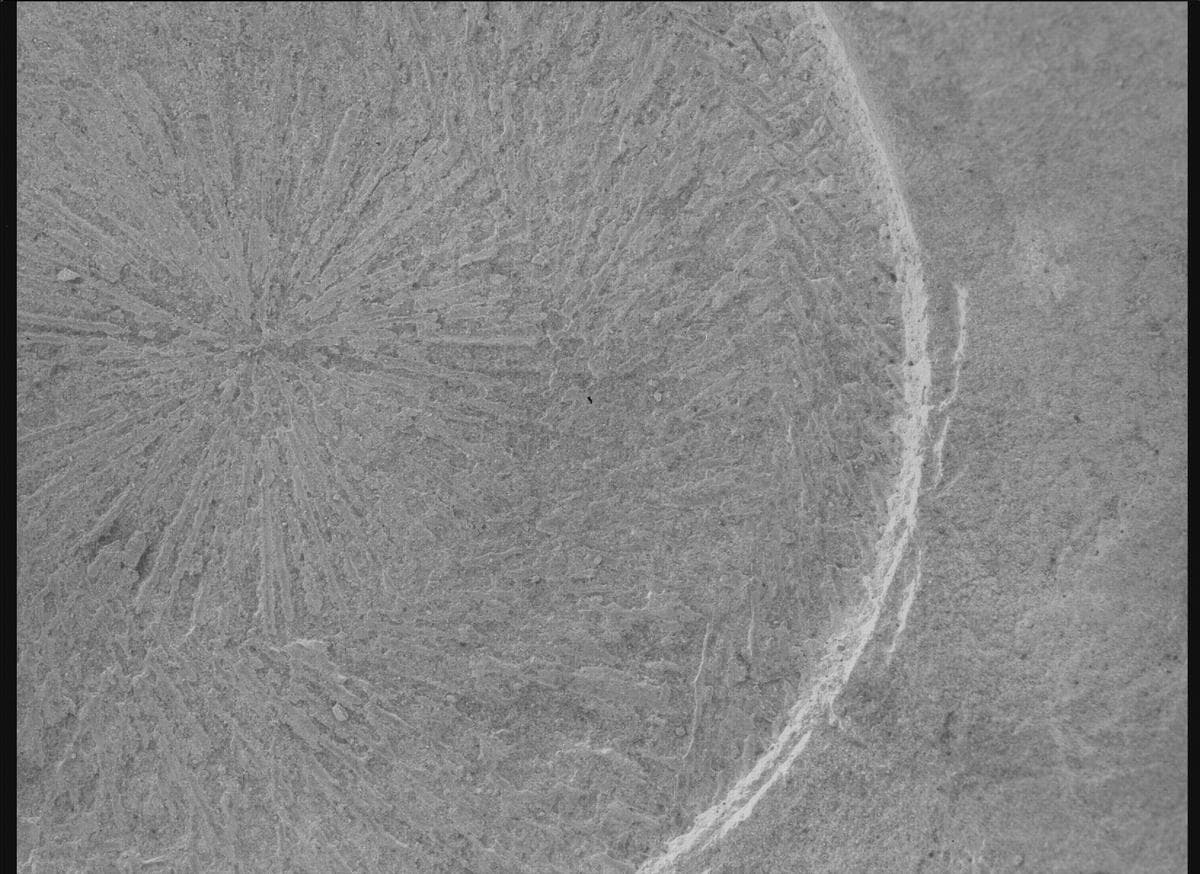 Foto de Marte da câmera SHERLOC_WATSON