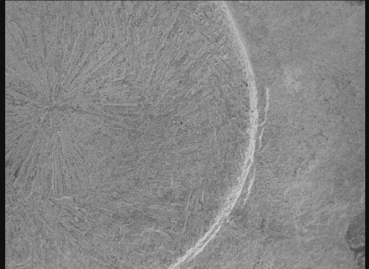 Foto de Marte da câmera SHERLOC_WATSON