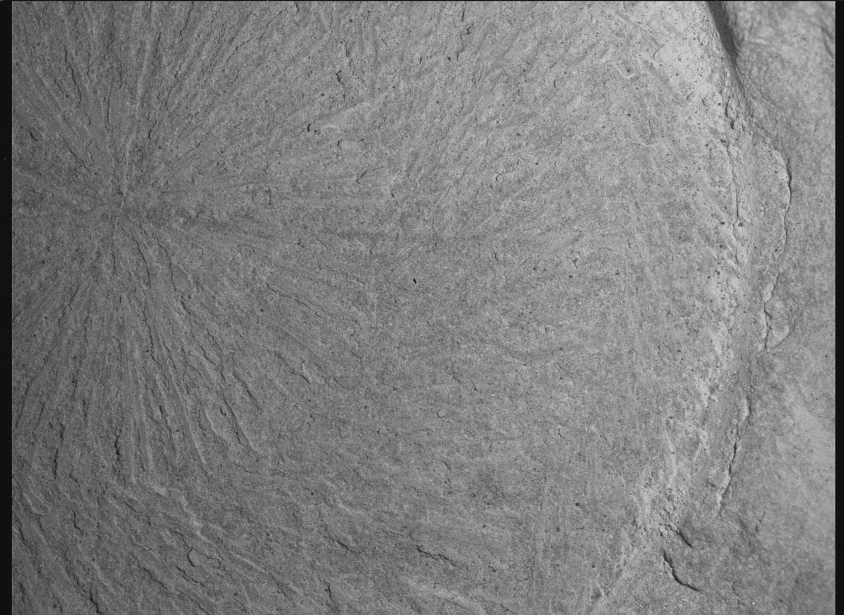 Foto de Marte da câmera SHERLOC_WATSON