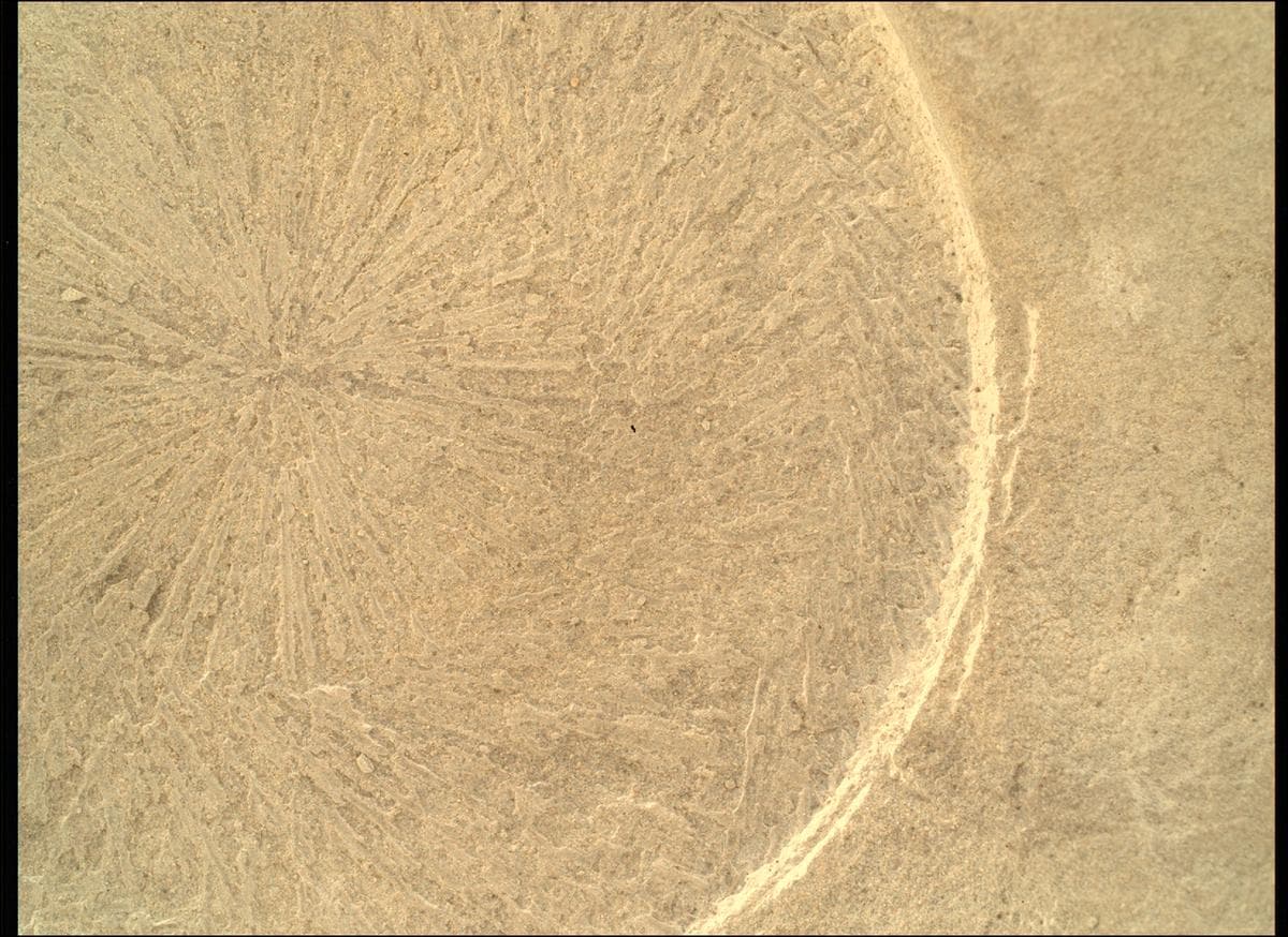 Foto de Marte da câmera SHERLOC_WATSON