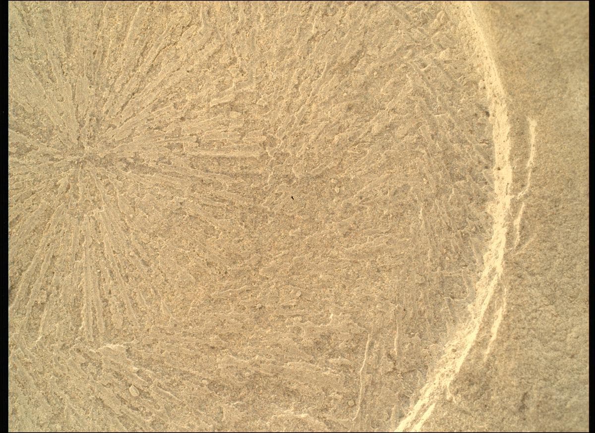 Foto de Marte da câmera SHERLOC_WATSON