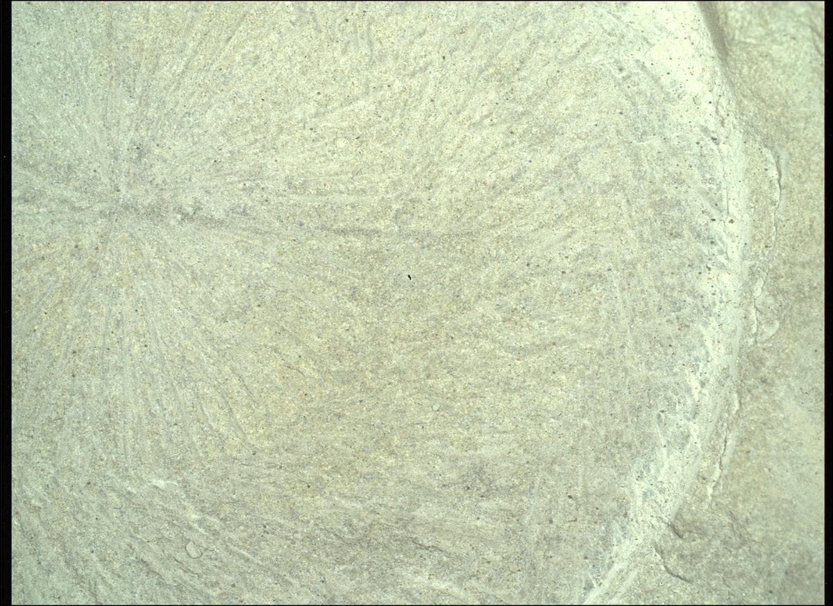 Foto de Marte da câmera SHERLOC_WATSON