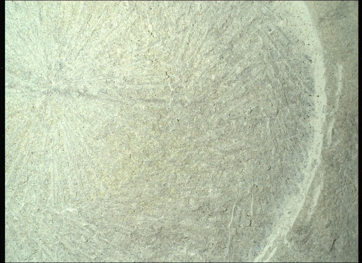 Foto de Marte da câmera SHERLOC_WATSON