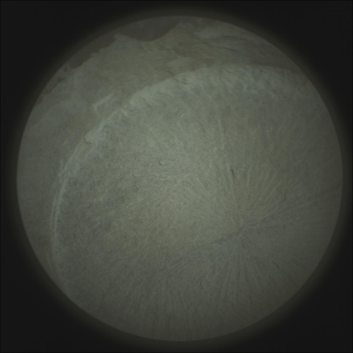 Foto do rover em Marte de 2026-02-14