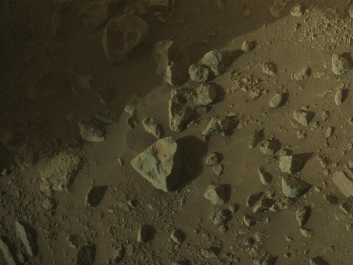 Foto do rover em Marte de 2026-02-21