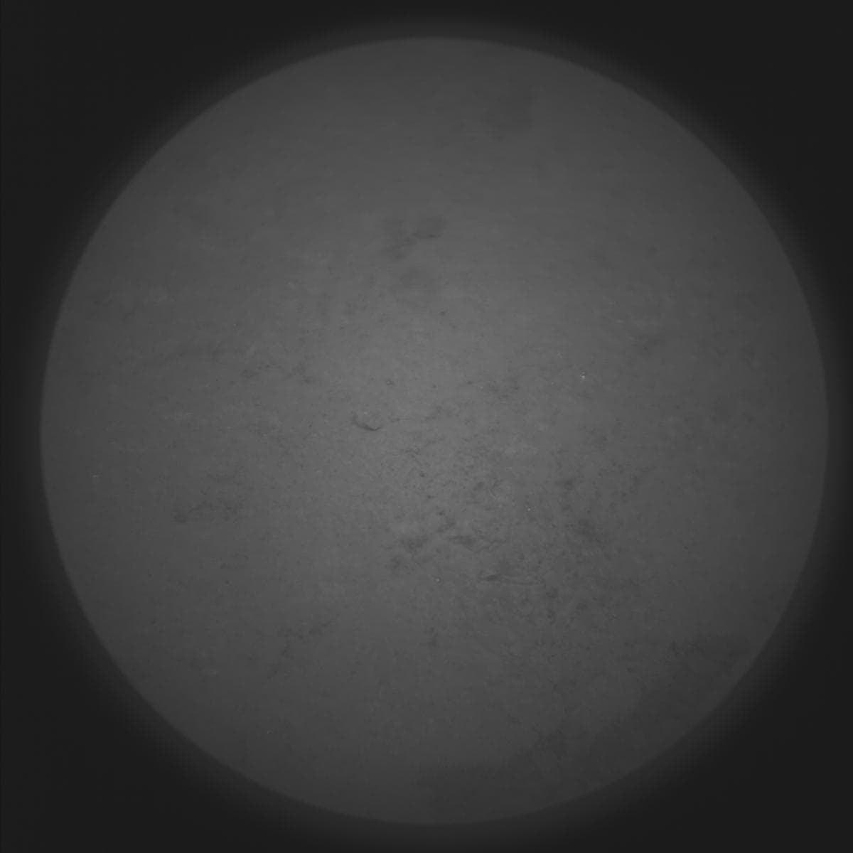 Foto de Marte da câmera SUPERCAM_RMI