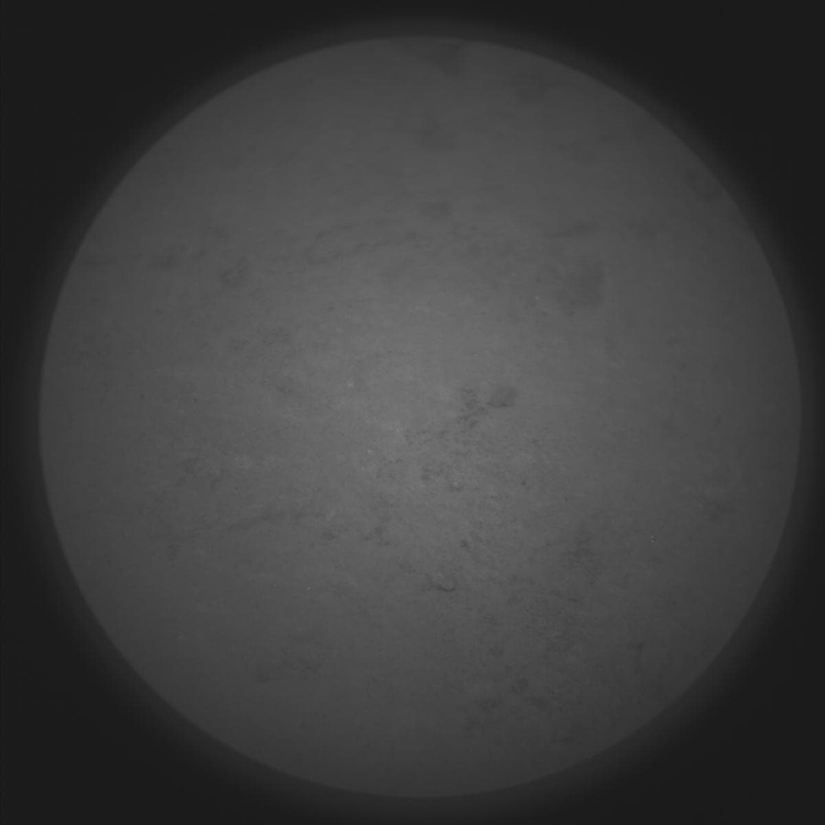 Foto de Marte da câmera SUPERCAM_RMI