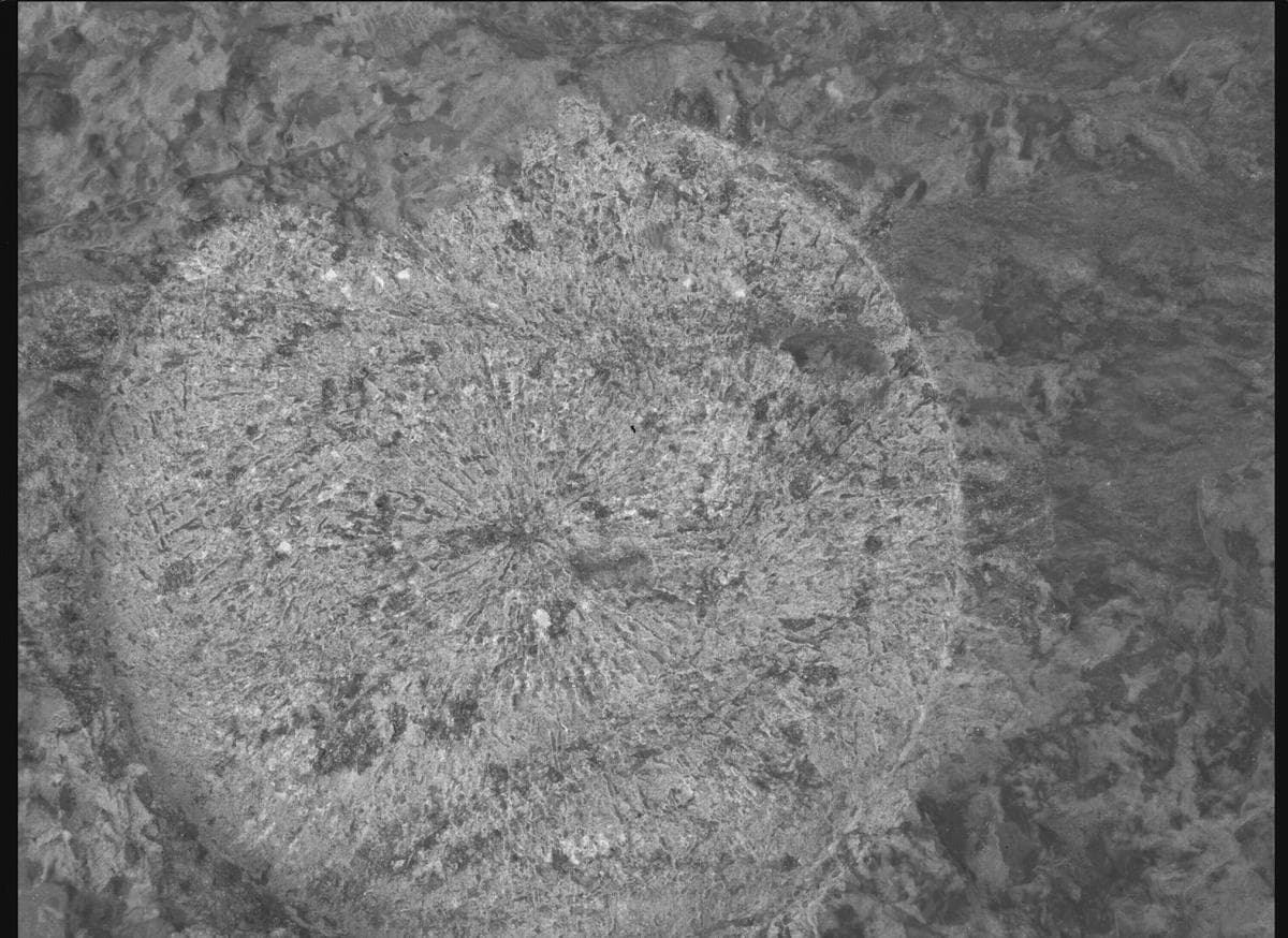 Foto de Marte da câmera SHERLOC_WATSON