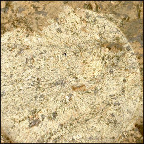 Foto de Marte da câmera SHERLOC_WATSON