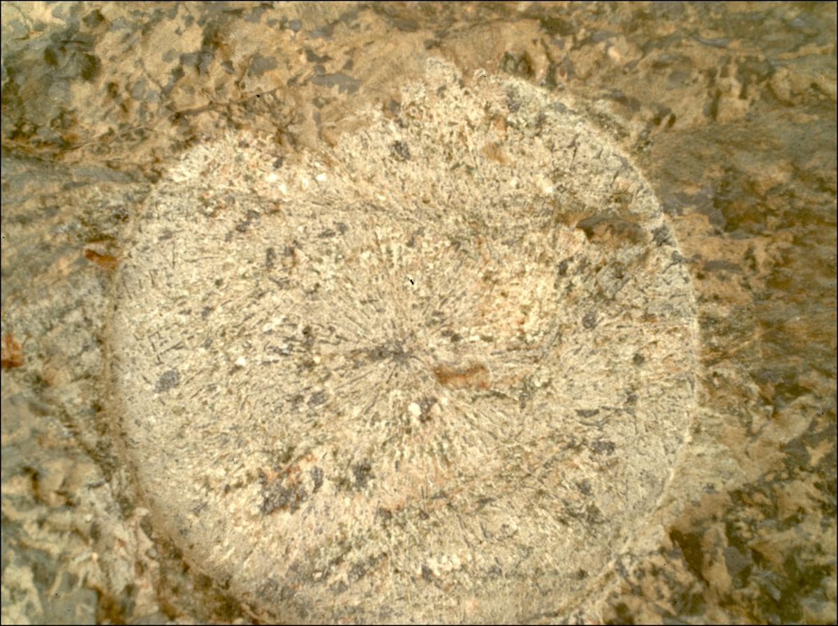 Foto de Marte da câmera SHERLOC_WATSON