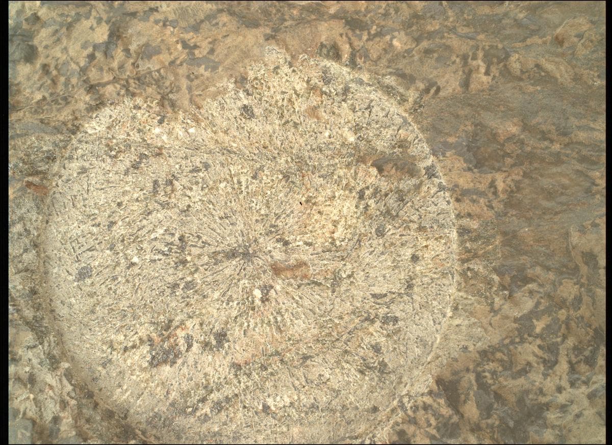 Foto de Marte da câmera SHERLOC_WATSON