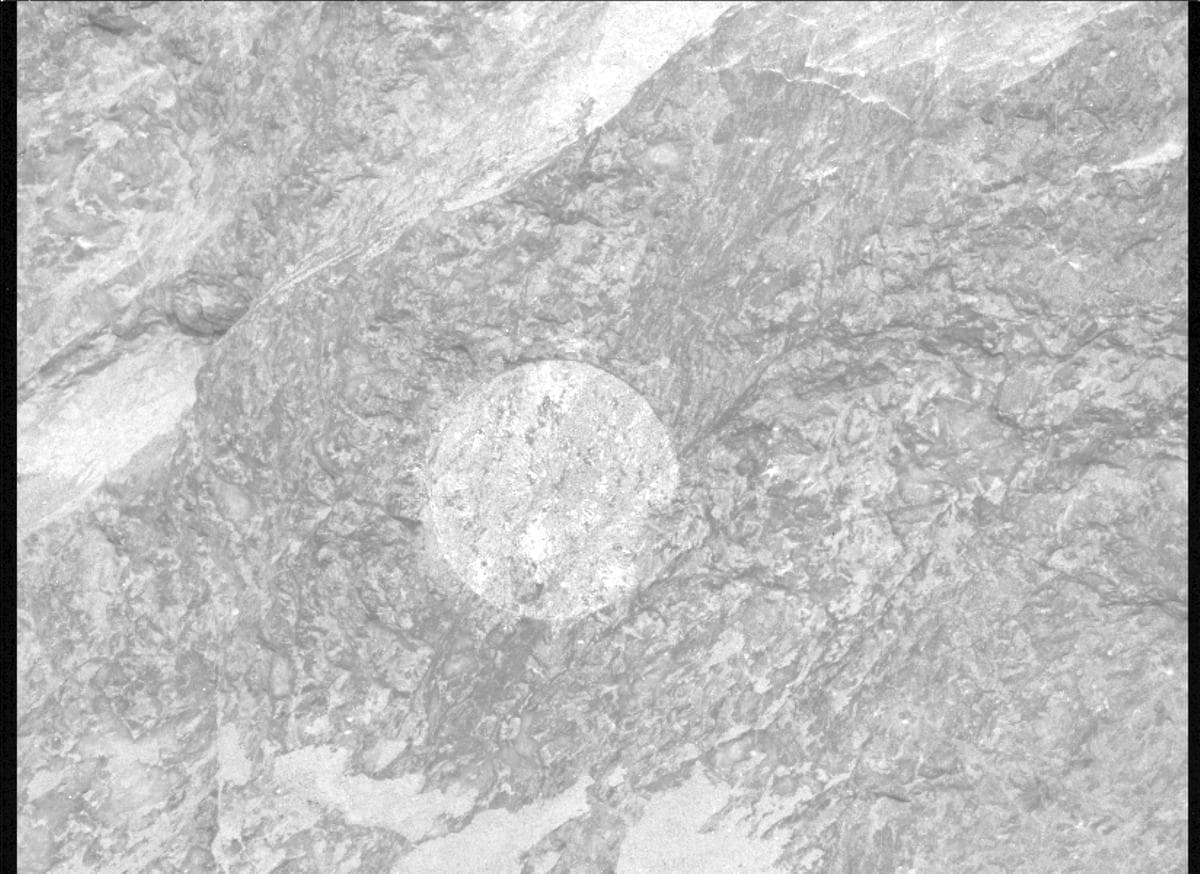 Foto de Marte da câmera MCZ_RIGHT