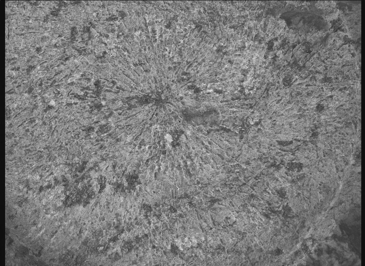 Foto de Marte da câmera SHERLOC_WATSON